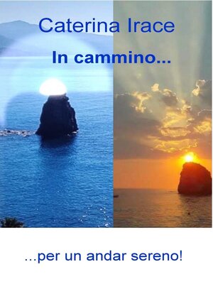 cover image of In cammino...